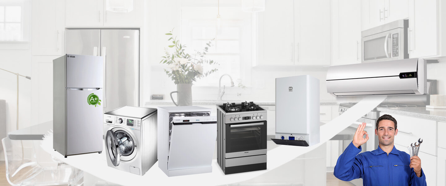 Doğanlar Electrolux Servisi